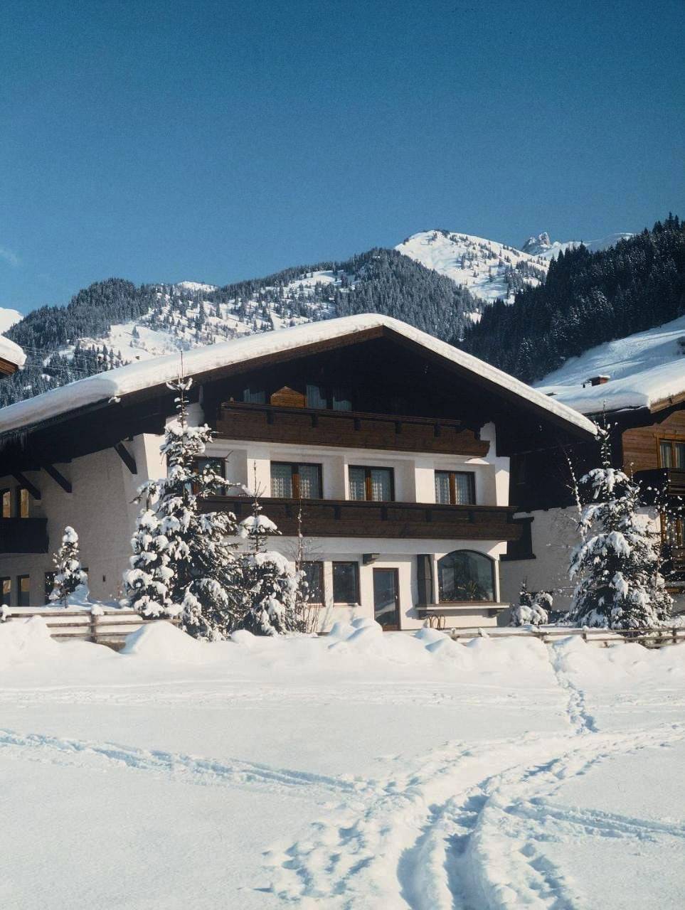 Haus Alpina by Châtel Reizen in Grossarl, Ski Amadé