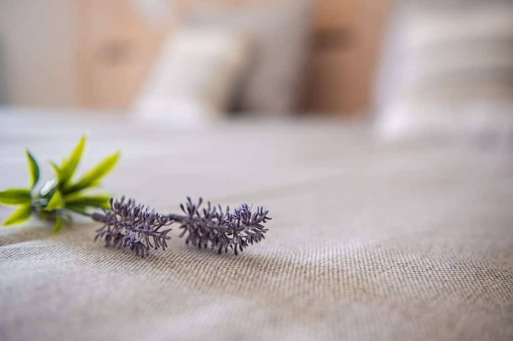 Idyllisch huisje met hottub, houtkachel en tuin in Lage Mierde, Noord-Brabant
