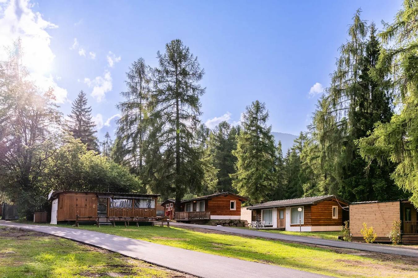 Lodge Tiere erlaubt 4 Personen in Dolomiti Superski