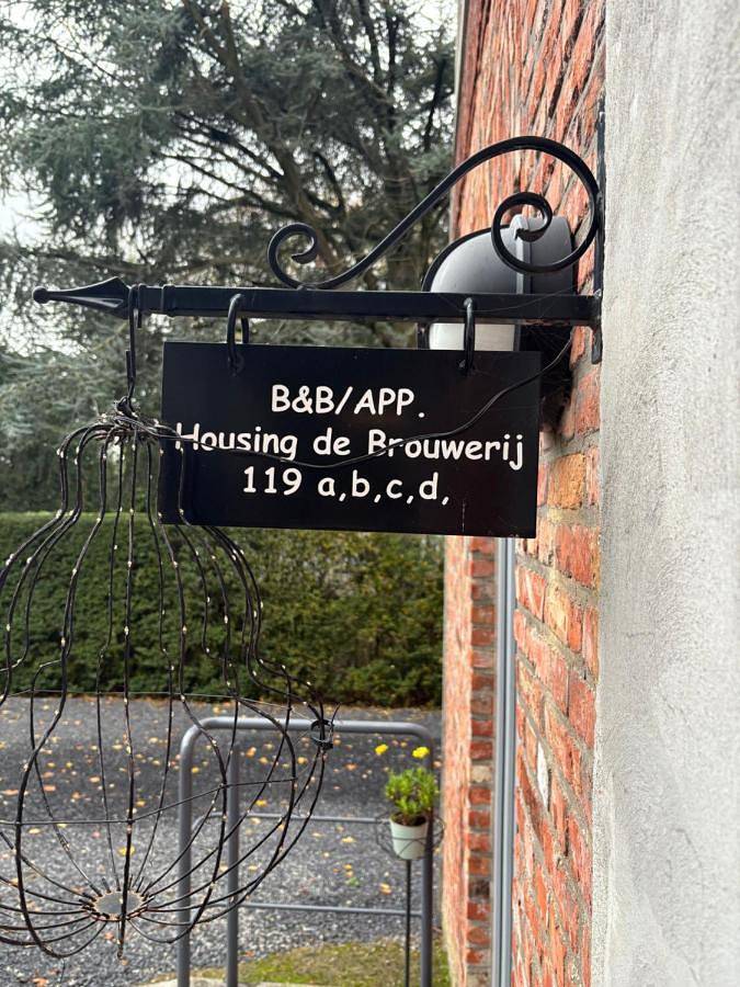 Housing De Brouwerij in Flandre zélandaise