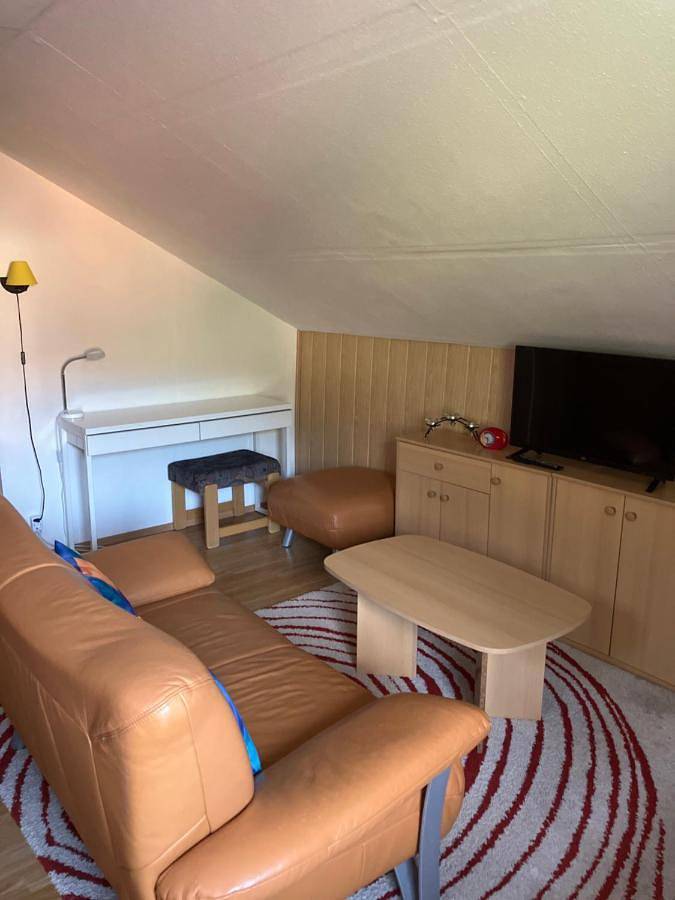 Ferienhaus für 5 Personen, mit Ausblick und Garten, mit Haustier in Bad Goisern am Hallstättersee - 4