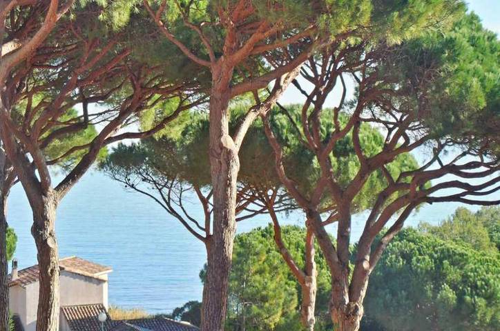 Gîte pour 4 personnes, avec terrasse et piscine dans Plage Des Elephants