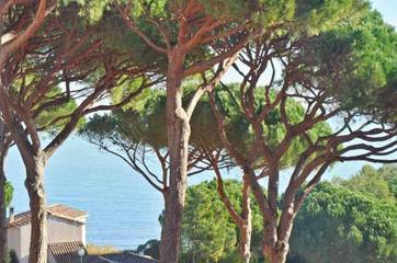 Gîte pour 4 personnes, avec terrasse et piscine dans Plage Des Elephants
