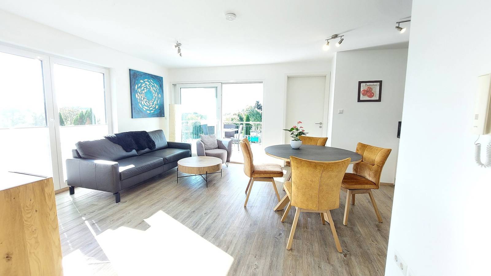 Ganze Wohnung, Ferienwohnung 'Dinkelbach Feriendomicil Objekt 2 D Summertime' mit Seeblick und Aufzug in Bodolz, Bayerisch Schwaben