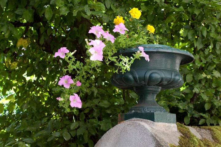Hôtel pour 4 personnes, avec terrasse et jardin, animaux acceptés à Chamalières - 3