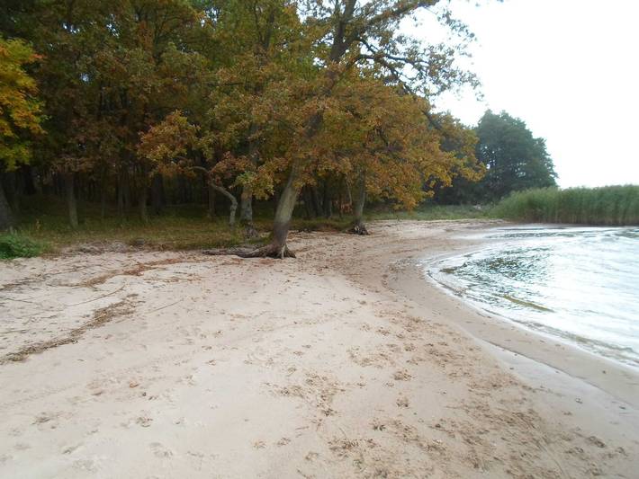 Ferienwohnung für 3 Personen, mit Garten in Altwarp - 2