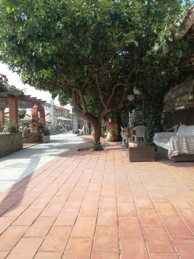 Location de vacances pour 6 personnes, avec jardin à Vallecrosia - 4