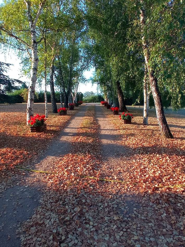 Chambre d’hôte pour 2 personnes, avec jacuzzi et jardin dans Allier - 4