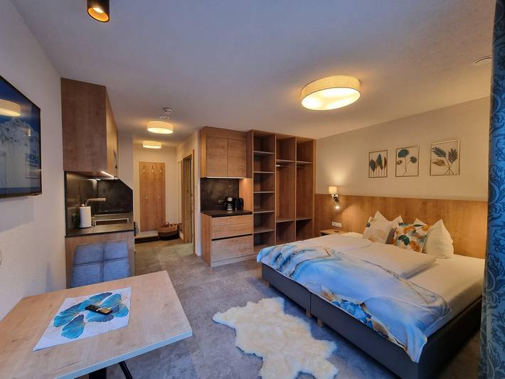 Ganze Ferienwohnung, Studioappartement Fluchthorn in Galtür, Verwall