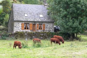 Gîte pour 4 personnes, avec jardin et terrasse, animaux acceptés à Saint-Vincent-de-Salers