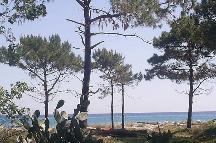 Appartamento vacanze per 4 persone, con terrazza, con animali domestici - 1