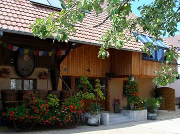 Gîte pour 8 personnes, avec terrasse et jardin à Wihr-au-Val