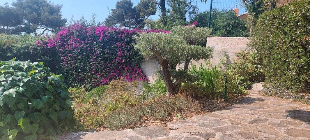 Villa pour 6 personnes, avec vue et piscine ainsi que sauna et jardin à Carqueiranne - 3