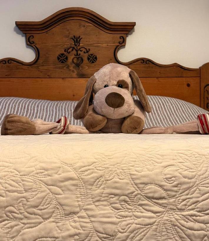 Maison d’hôte pour 2 personnes, animaux acceptés à Kaysersberg - 4