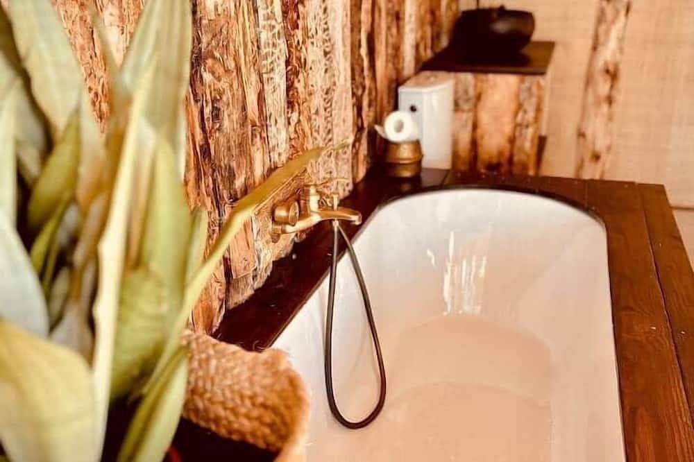 Domaine Finca Lessya & Spa, Lodge insolite de l'oliveraie in Mauguio, Côte méditerranéenne (France)