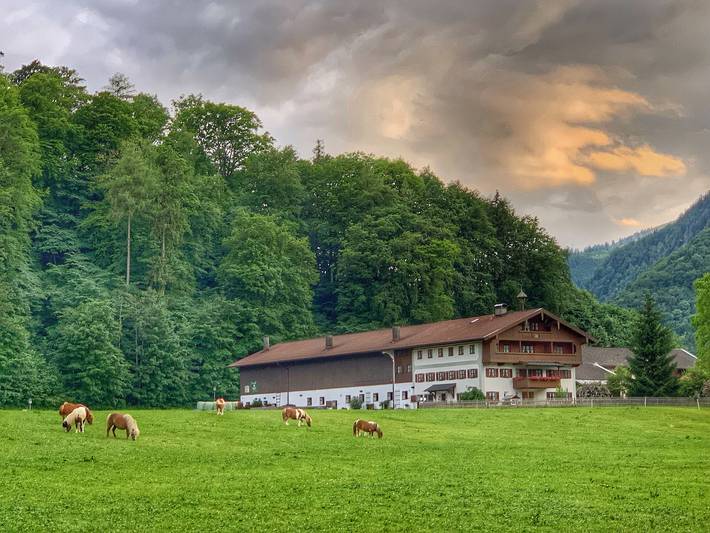Ganze Ferienwohnung, Bauernhof Kiesmüller Hof - Ferienwohnung Nr.1 Schlafzimmer, Wohnzimmer und Süd/West-Balkon, 50 qm in Kampenwand, Aschau im Chiemgau