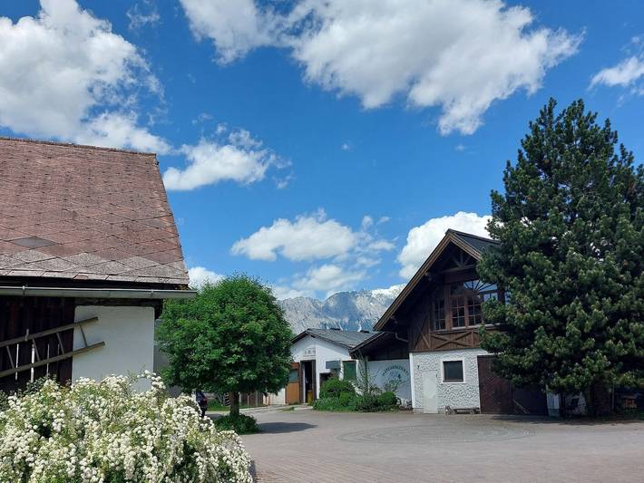 Ganze Ferienwohnung, Appartement am Moserhof in Rottenmanner und Wölzer Tauern, Großsölk