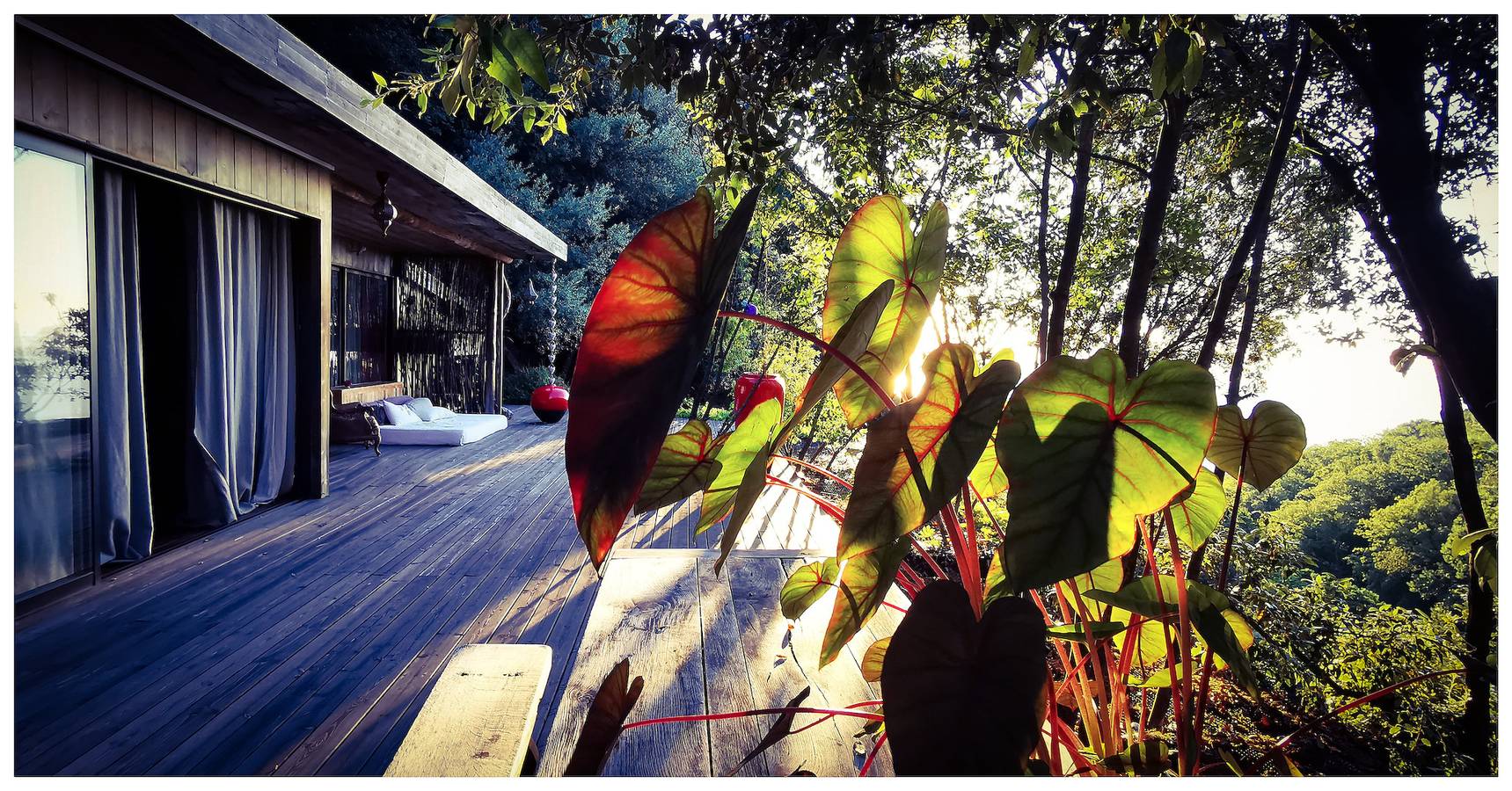 Cabane en bois pour 2 personnes avec vue sur l’océan in San-Martino-di-Lota, Cap Corse