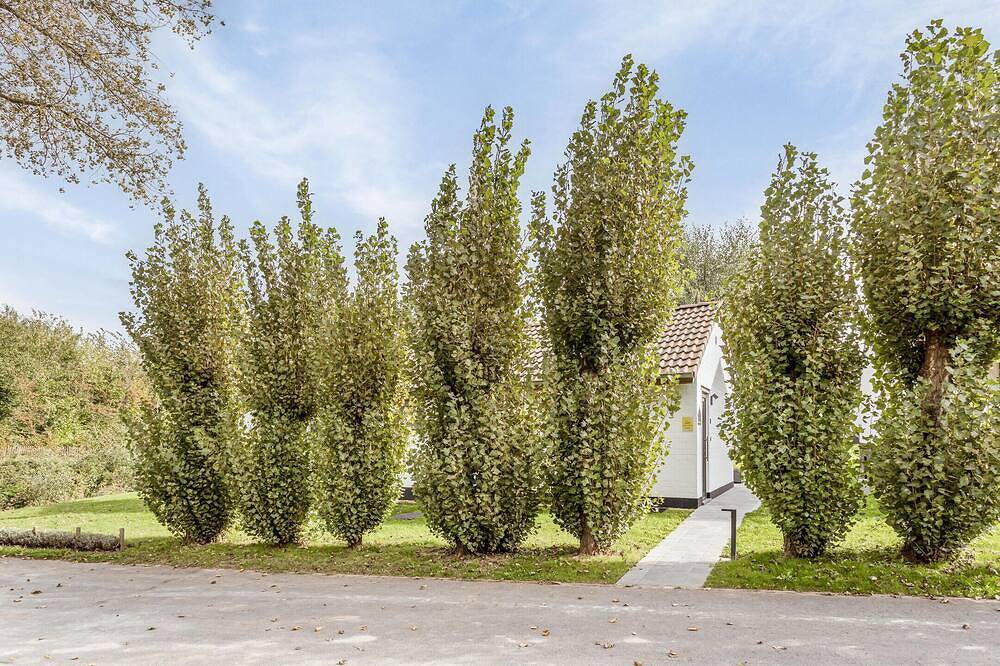 Gezellig huisje in Westouter(Heuvelland )Paradijs voor fietsers en wandelaars. in Westouter, Heuvelland