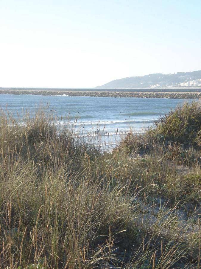 Maison d’hôte pour 2 personnes, avec vue et terrasse à Figueira da Foz - 3