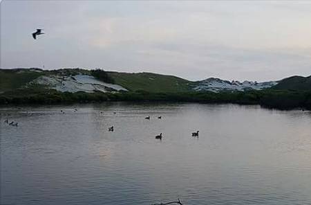 Ganze Ferienwohnung, Fischerman's Friend - Ferienwohnung 1 Kogge in Wittdün, Amrum