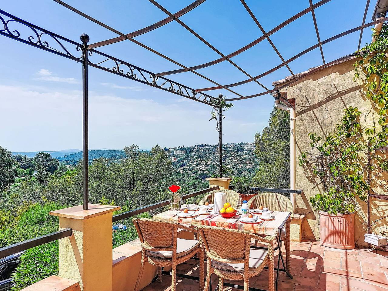 Grenouille - Grenouille 607.1 in Vence, Côte méditerranéenne (France)