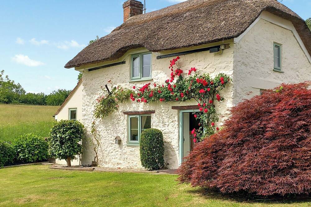 Casa vacanza a Dorset a partire da 116€ a notte