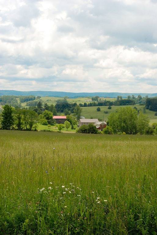 Wöchentliche Rabatte Verfügbar! in Tioga County