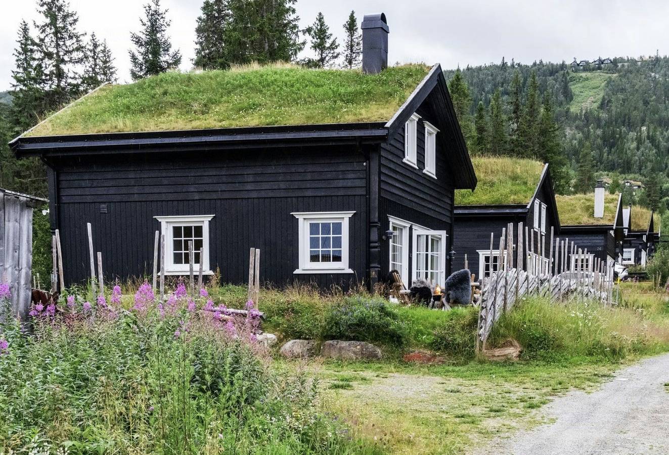 Ferienhaus in Uvdal mit Loipen direkt vor der Haustür in Uvdal, Nore og Uvdal