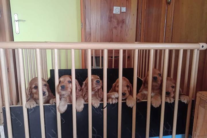 Location de vacances pour 6 personnes à Gras