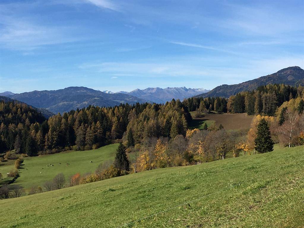 Ganze Ferienwohnung, Schauerhof in Mariahof, Westliche Obersteiermark
