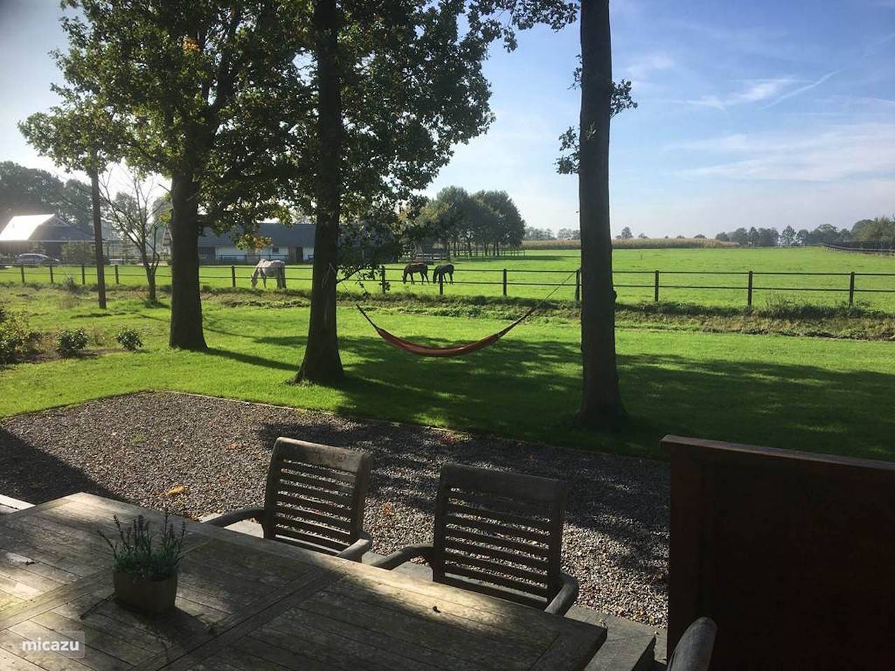Luxuriöse Holzvilla Albert im Waldgebiet mit herrlichem Blick auf die Felder in Den Ham, Twente