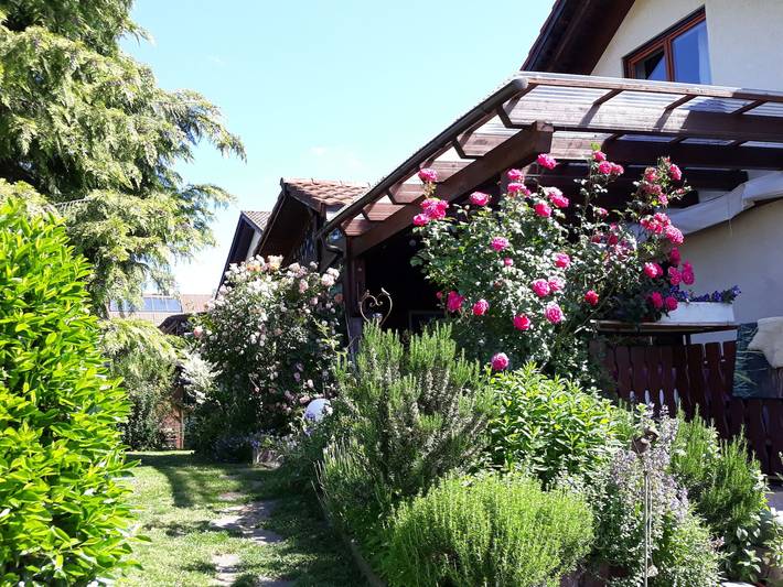 Ferienwohnung für 2 Personen, mit Garten am Bodensee - 3