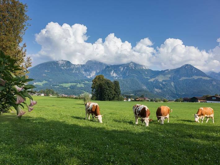 Ferienhaus für 2 Personen, mit Balkon und Terrasse sowie Garten in Schönau am Königssee - 3