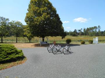Chalet pour 6 Personnes dans Château-l'Évêque, Périgord Blanc, Photo 1