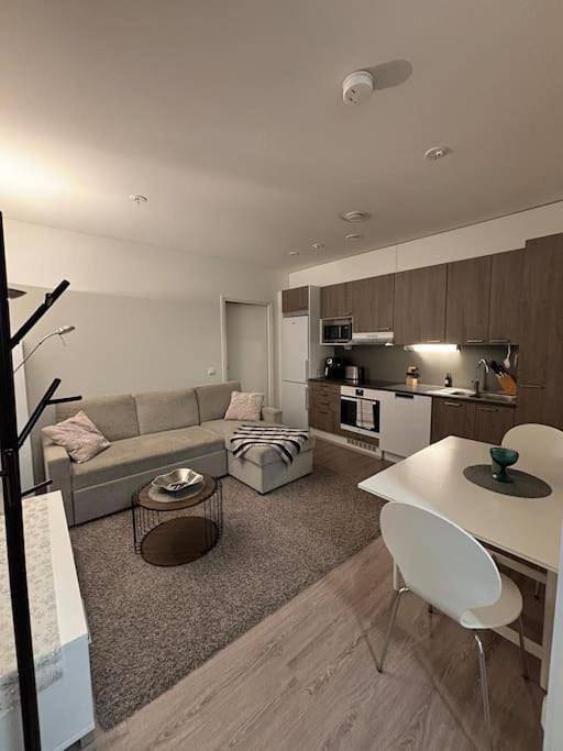 Apartament wakacyjny dla 3 osób, z taras i sauna - 1