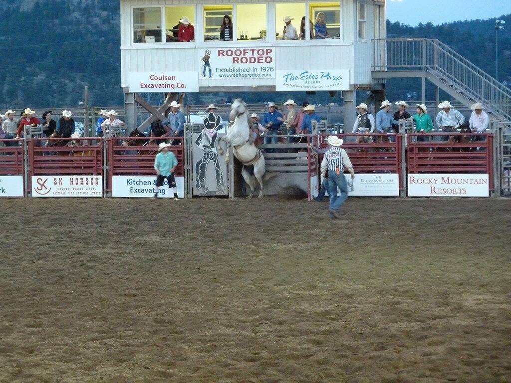 Historische, romantische, abgelegene Hütte von 1910; aktualisiert mit modernen Annehmlichkeiten in Estes Park, Larimer County