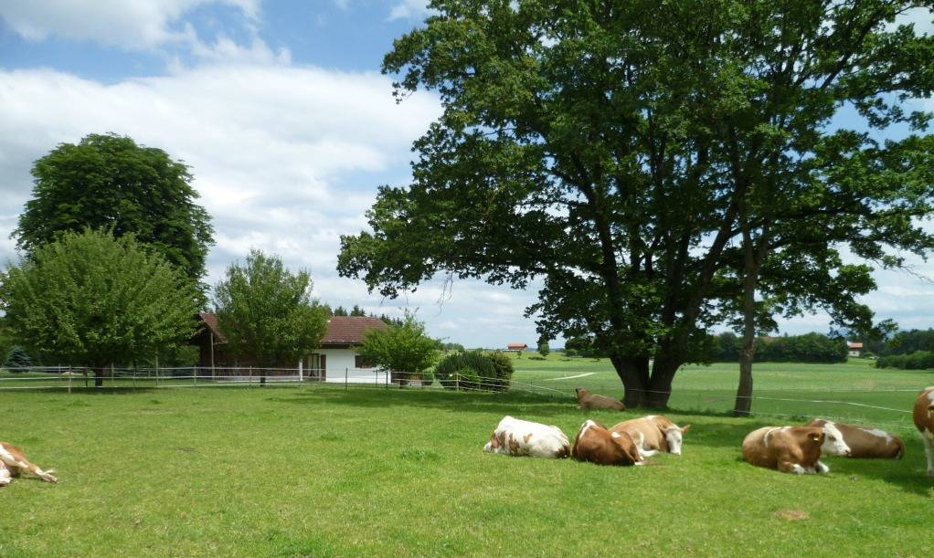 Ganze Ferienwohnung, Ferienhaus Axmann - Ferienhäuschen mit 55 qm bis max. 6 Personen in Gstadt am Chiemsee, Chiemsee