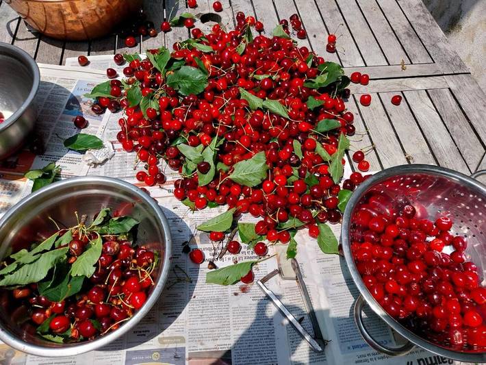 Gîte pour 4 personnes, avec jardin et vue à Gréolières - 4