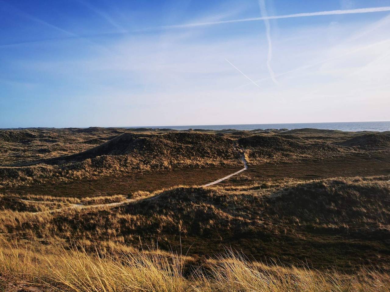 8 Personen Ferienhaus in Ringkøbing in Ringkøbing, Holmsland Klit