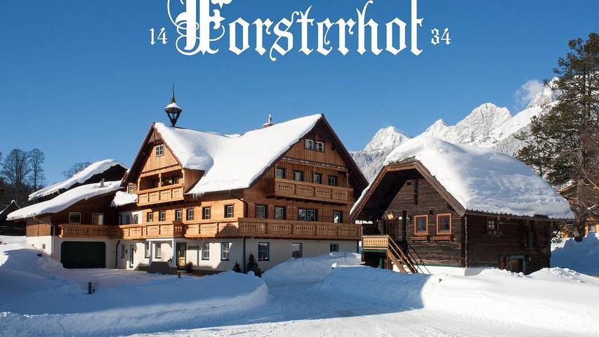 Hütte für 4 Personen, mit Ausblick und Balkon sowie Garten, mit Haustier in Ramsau am Dachstein