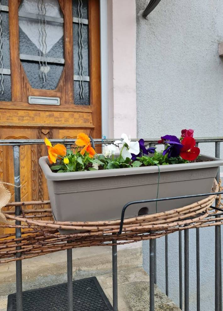 Gîte pour 4 personnes, avec jardin et terrasse, animaux acceptés dans Territoire de Belfort - 3