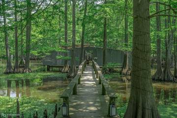 Log Cabin for 5 Guests in Louisiana, USA, Picture 1