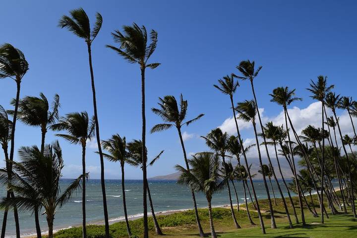 Vacation rental for 4 people, with pool in Kihei
