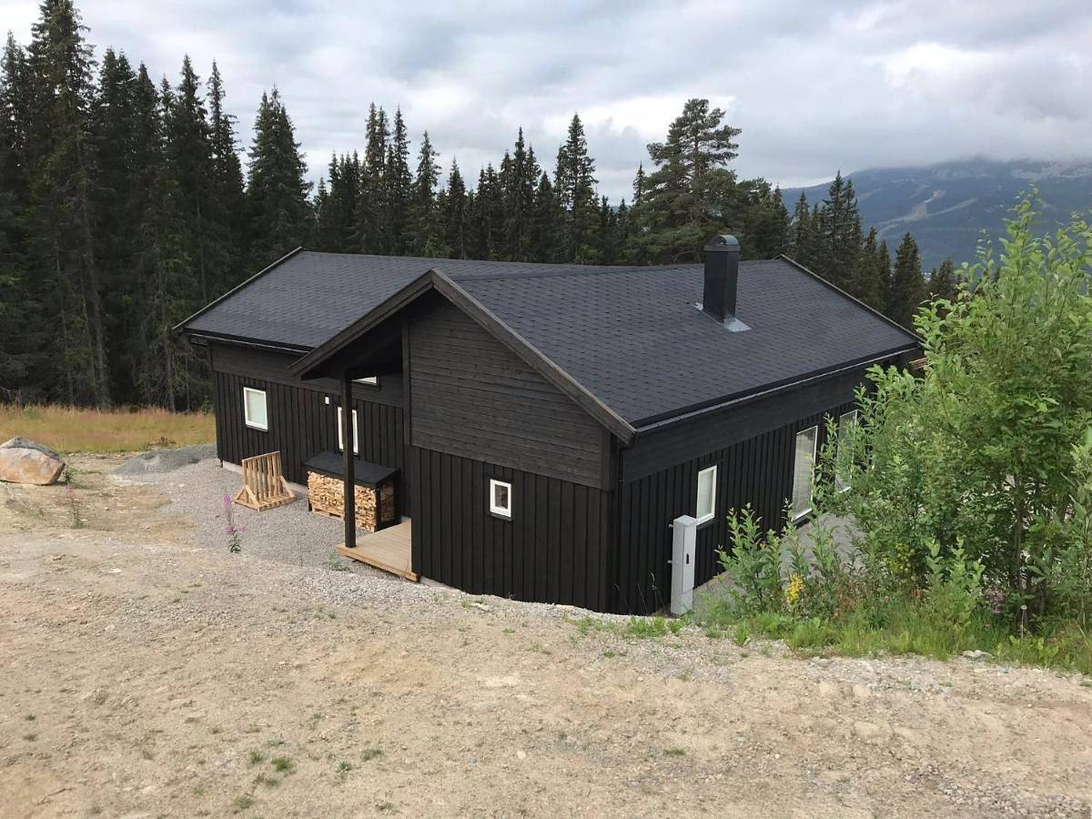 Lillebjørn in Trysilfjellet, Trysil