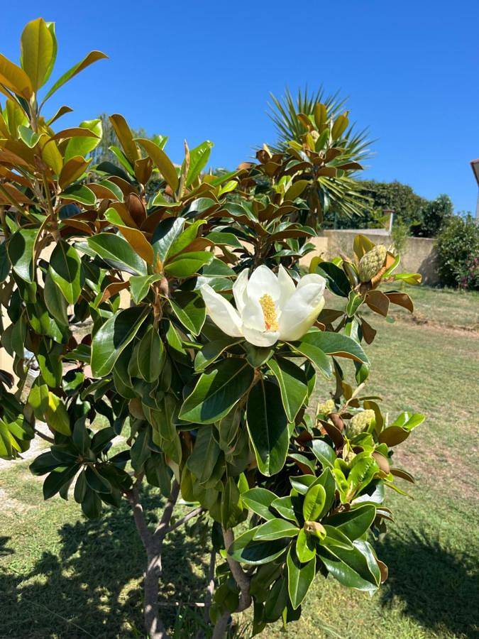 Maison d’hôte pour 4 personnes, avec sauna et jardin ainsi que vue et piscine dans Haute-Corse - 3