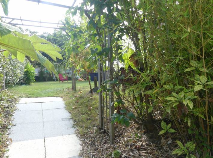 Gîte pour 6 personnes, avec terrasse et jardin, animaux acceptés dans Maine-et-Loire - 3