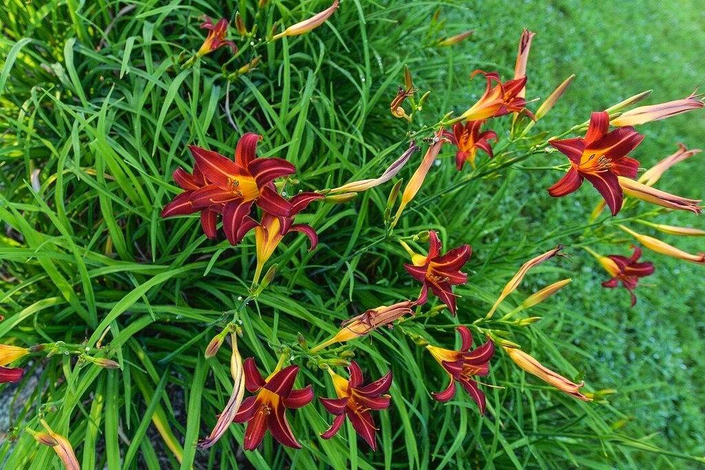 Antiker Charme, moderne Annehmlichkeiten, See- und Bergblick in Gilford, Lake Winnipesaukee