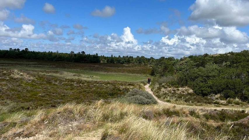 Ferienhaus für 7 Personen, mit Terrasse auf Rømø - 4