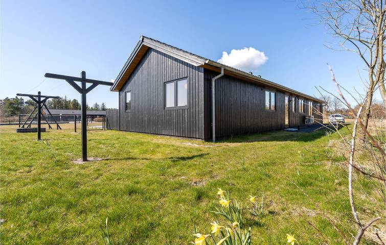 Ferienhaus für 10 Personen, mit Sauna und Terrasse in Filsø See - 3